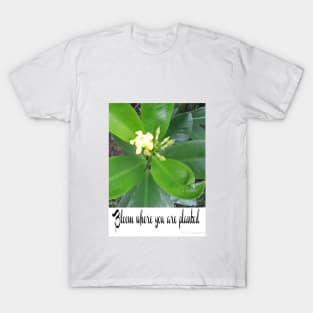 Bloom Where You Are Planted T-Shirt